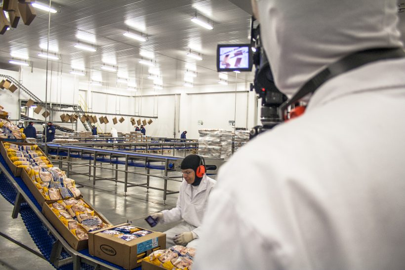 Adhesive Squares™ Find Unique Home in the Protein Packaging Industry